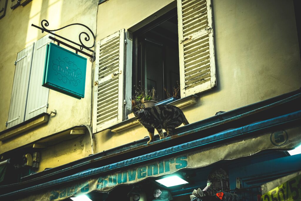 sacre souvenirs1