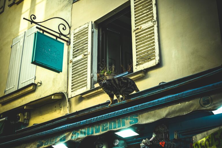 sacre souvenirs1