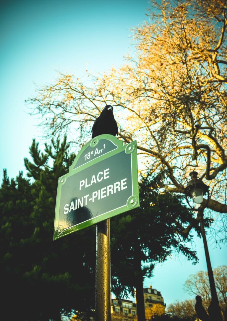 Place Saint Pierre 768x1086
